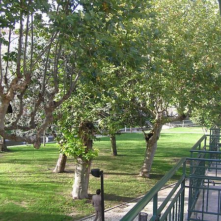Hotel Covilha Jardim Εξωτερικό φωτογραφία